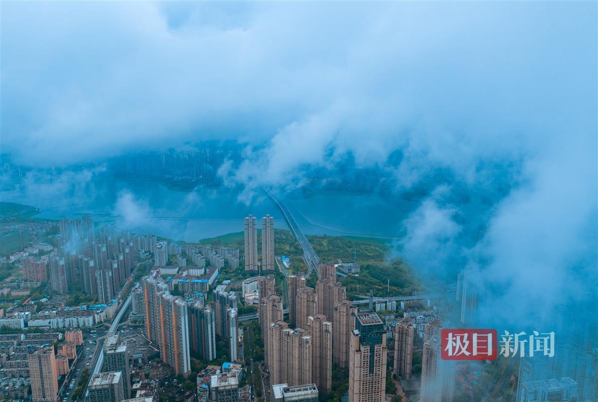 捕鱼之海洋之星在哪里下载